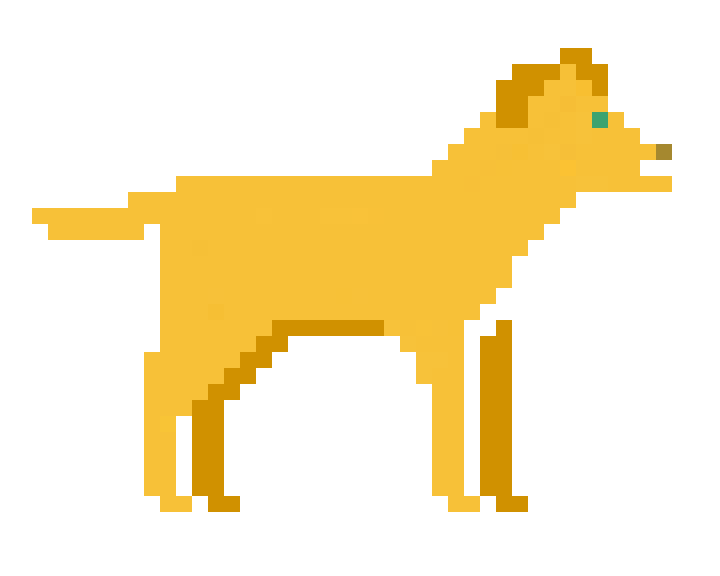 gif image of a a yellow pitpul dog in walking position